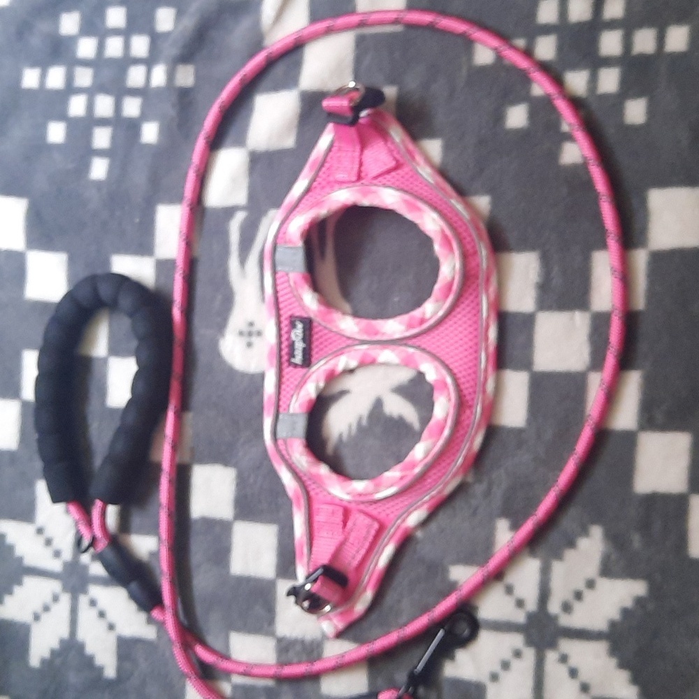 haapaw Pink No Pull Reflective Step-In Harness With Leash Size XS 5-8 lbs